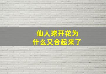 仙人球开花为什么又合起来了