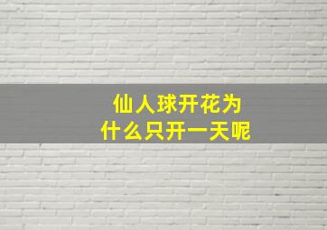 仙人球开花为什么只开一天呢