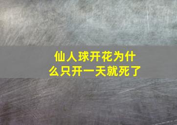 仙人球开花为什么只开一天就死了