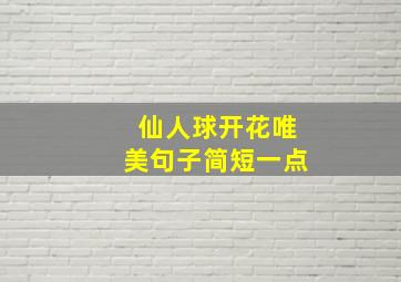 仙人球开花唯美句子简短一点