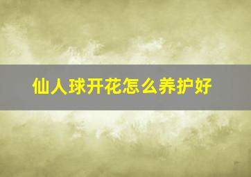 仙人球开花怎么养护好