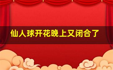 仙人球开花晚上又闭合了