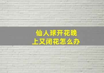 仙人球开花晚上又闭花怎么办