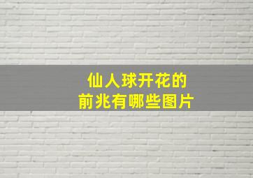 仙人球开花的前兆有哪些图片