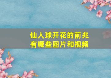 仙人球开花的前兆有哪些图片和视频