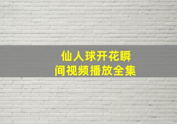 仙人球开花瞬间视频播放全集