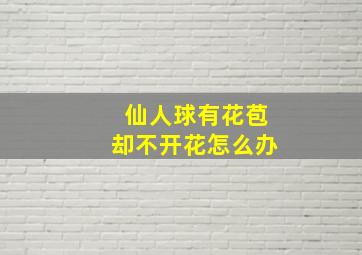 仙人球有花苞却不开花怎么办