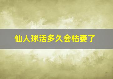 仙人球活多久会枯萎了