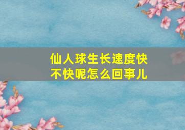 仙人球生长速度快不快呢怎么回事儿