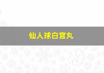 仙人球白宫丸