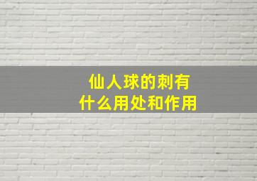 仙人球的刺有什么用处和作用