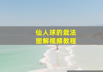 仙人球的栽法图解视频教程