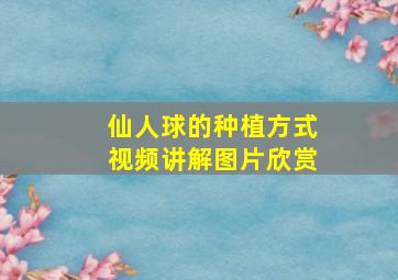 仙人球的种植方式视频讲解图片欣赏