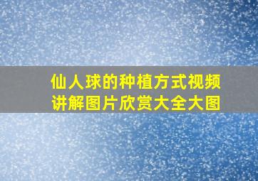 仙人球的种植方式视频讲解图片欣赏大全大图