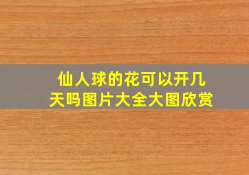 仙人球的花可以开几天吗图片大全大图欣赏