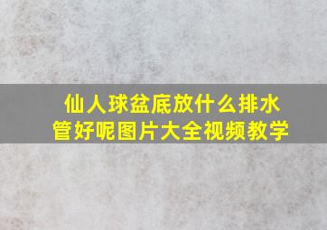 仙人球盆底放什么排水管好呢图片大全视频教学