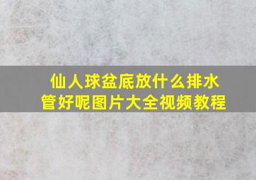 仙人球盆底放什么排水管好呢图片大全视频教程