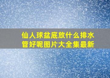 仙人球盆底放什么排水管好呢图片大全集最新