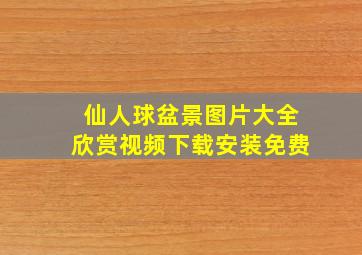 仙人球盆景图片大全欣赏视频下载安装免费