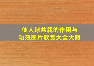 仙人球盆栽的作用与功效图片欣赏大全大图