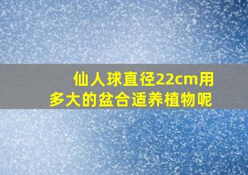 仙人球直径22cm用多大的盆合适养植物呢