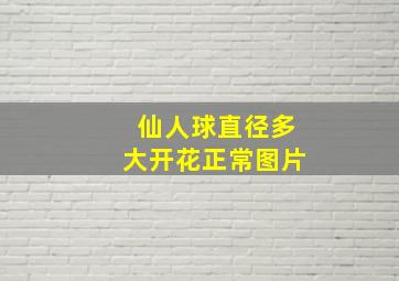 仙人球直径多大开花正常图片