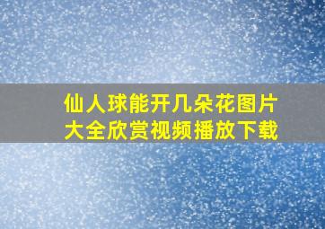 仙人球能开几朵花图片大全欣赏视频播放下载