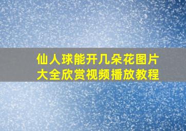 仙人球能开几朵花图片大全欣赏视频播放教程