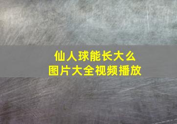 仙人球能长大么图片大全视频播放