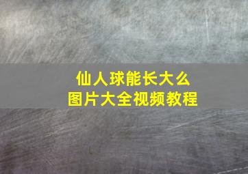 仙人球能长大么图片大全视频教程