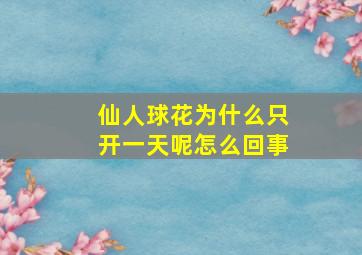 仙人球花为什么只开一天呢怎么回事