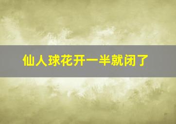 仙人球花开一半就闭了