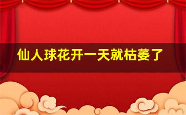 仙人球花开一天就枯萎了