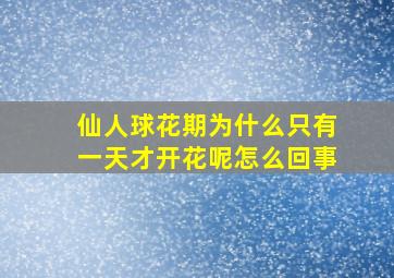 仙人球花期为什么只有一天才开花呢怎么回事