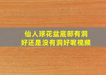 仙人球花盆底部有洞好还是没有洞好呢视频