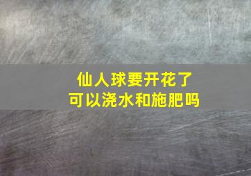 仙人球要开花了可以浇水和施肥吗