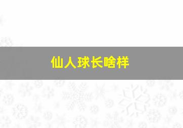 仙人球长啥样