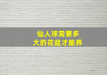 仙人球需要多大的花盆才能养