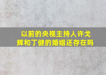 以前的央视主持人许戈辉和丁健的婚姻还存在吗