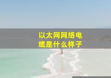 以太网网络电缆是什么样子