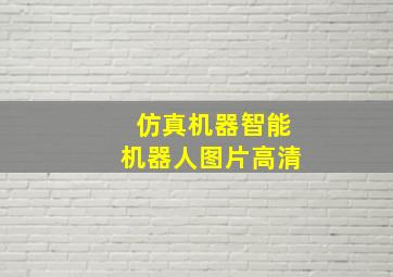 仿真机器智能机器人图片高清