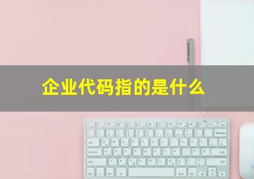 企业代码指的是什么