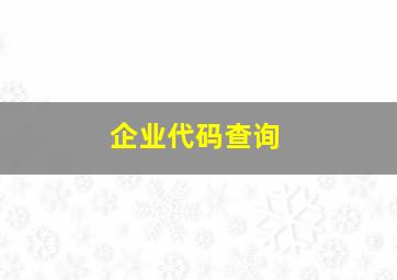 企业代码查询