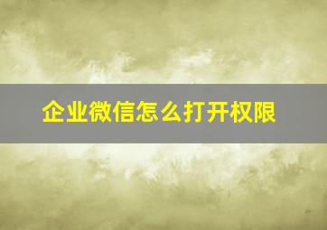 企业微信怎么打开权限