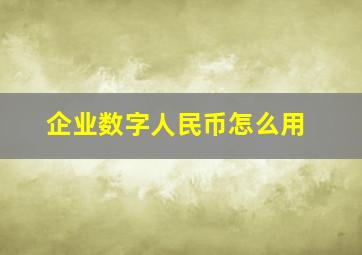 企业数字人民币怎么用