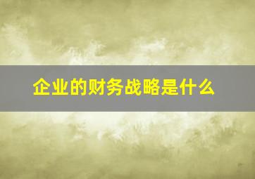 企业的财务战略是什么