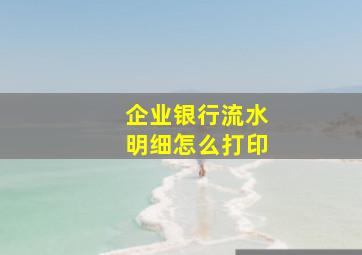 企业银行流水明细怎么打印