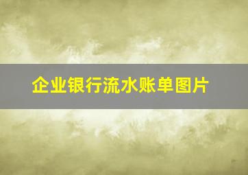 企业银行流水账单图片