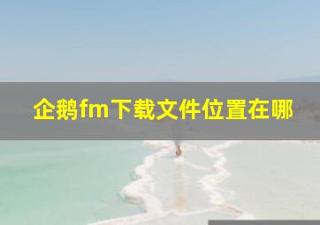 企鹅fm下载文件位置在哪