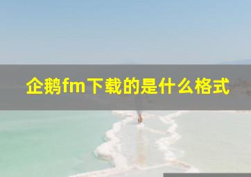 企鹅fm下载的是什么格式